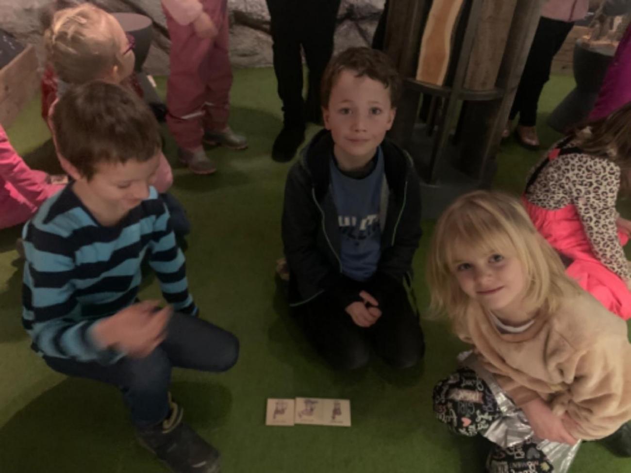 Muzeum Vysočiny - výukový program Les 1. ročník
