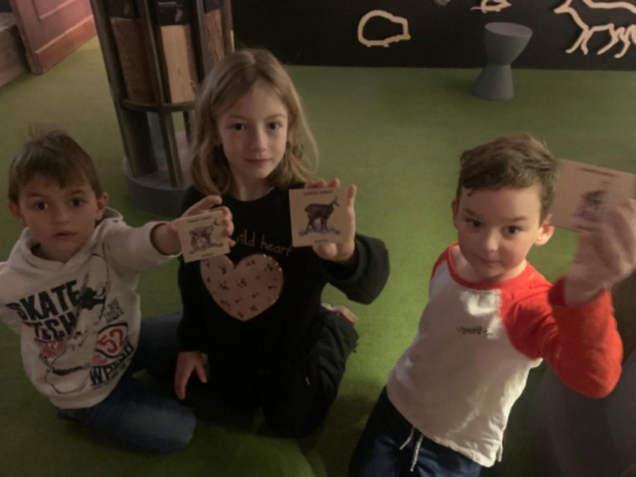 Muzeum Vysočiny - výukový program Les 1. ročník