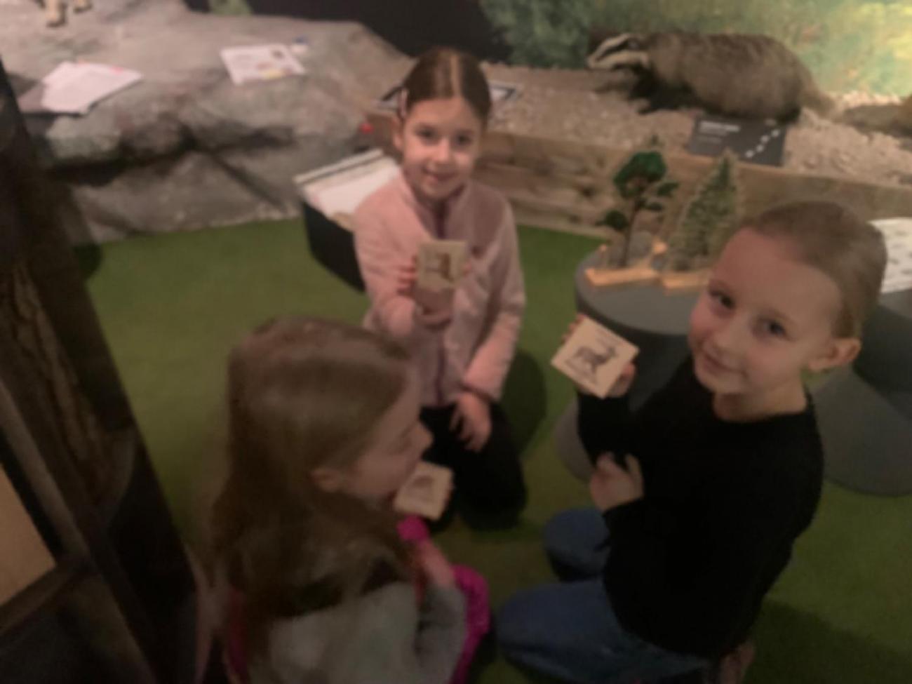 Muzeum Vysočiny - výukový program Les 1. ročník
