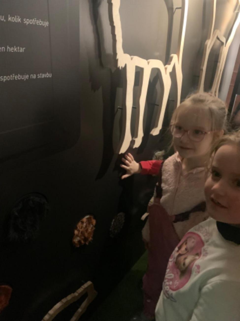 Muzeum Vysočiny - výukový program Les 1. ročník