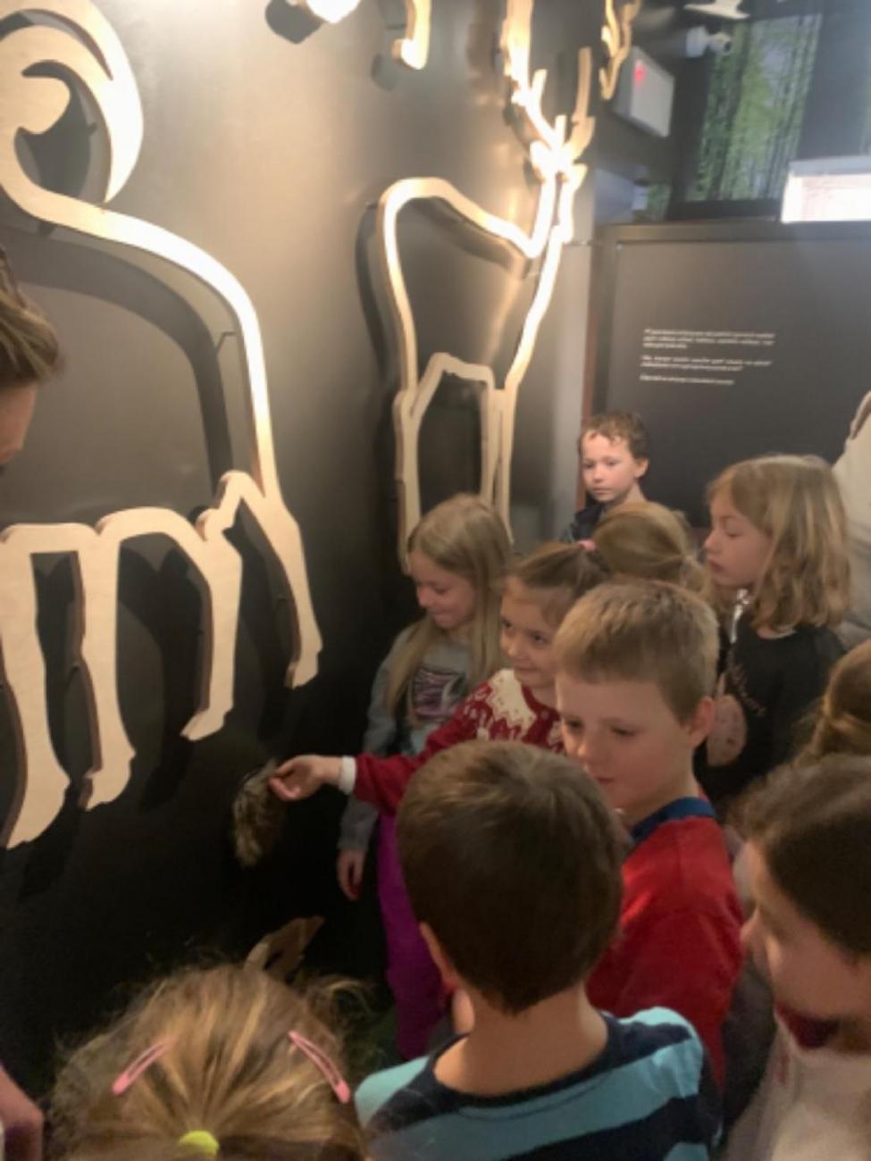 Muzeum Vysočiny - výukový program Les 1. ročník