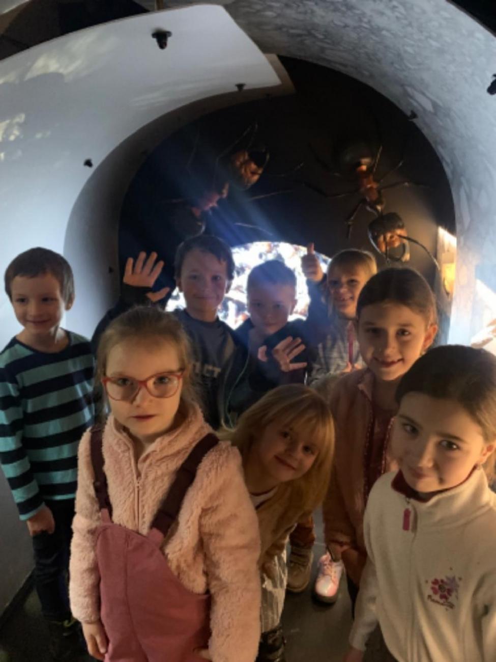 Muzeum Vysočiny - výukový program Les 1. ročník