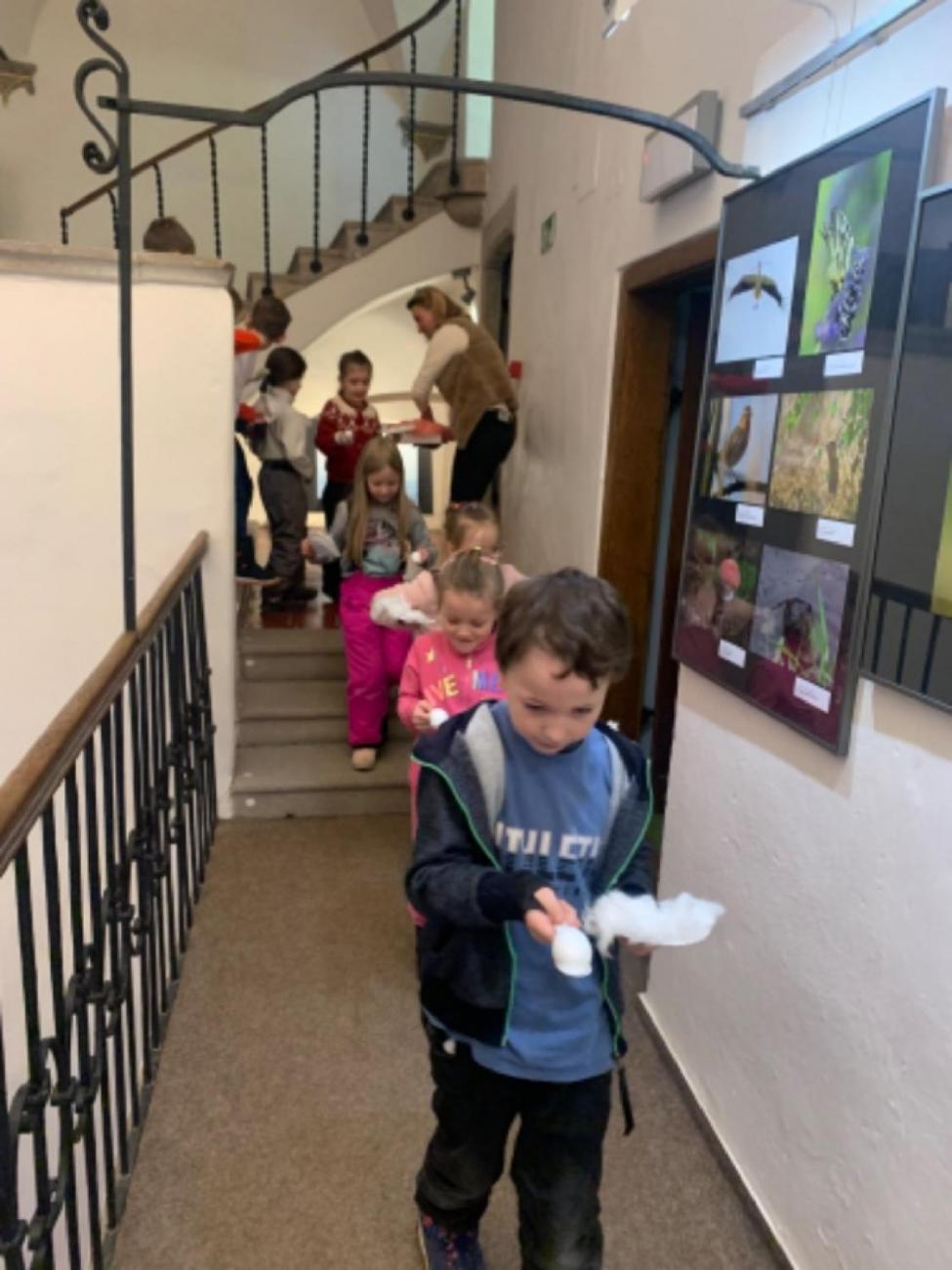 Muzeum Vysočiny - výukový program Les 1. ročník