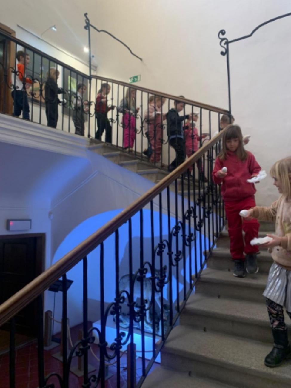 Muzeum Vysočiny - výukový program Les 1. ročník