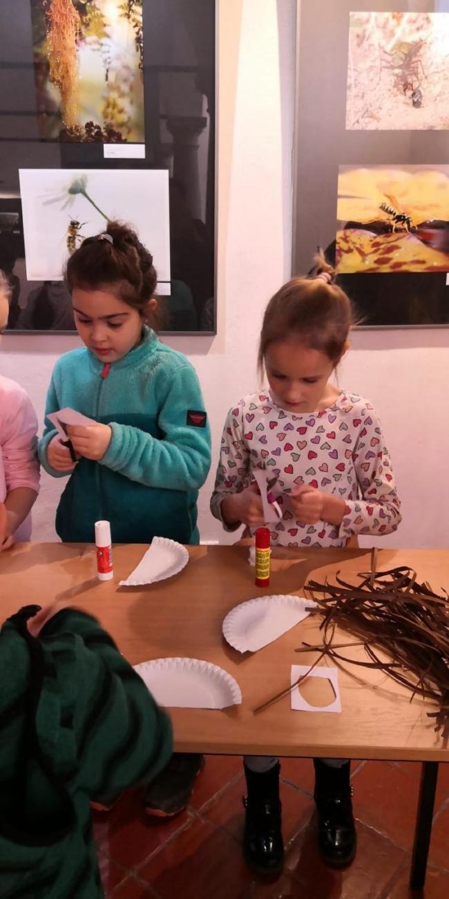 Muzeum Vysočiny - výukový program Les 1. ročník