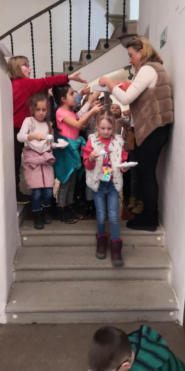 Muzeum Vysočiny - výukový program Les 1. ročník