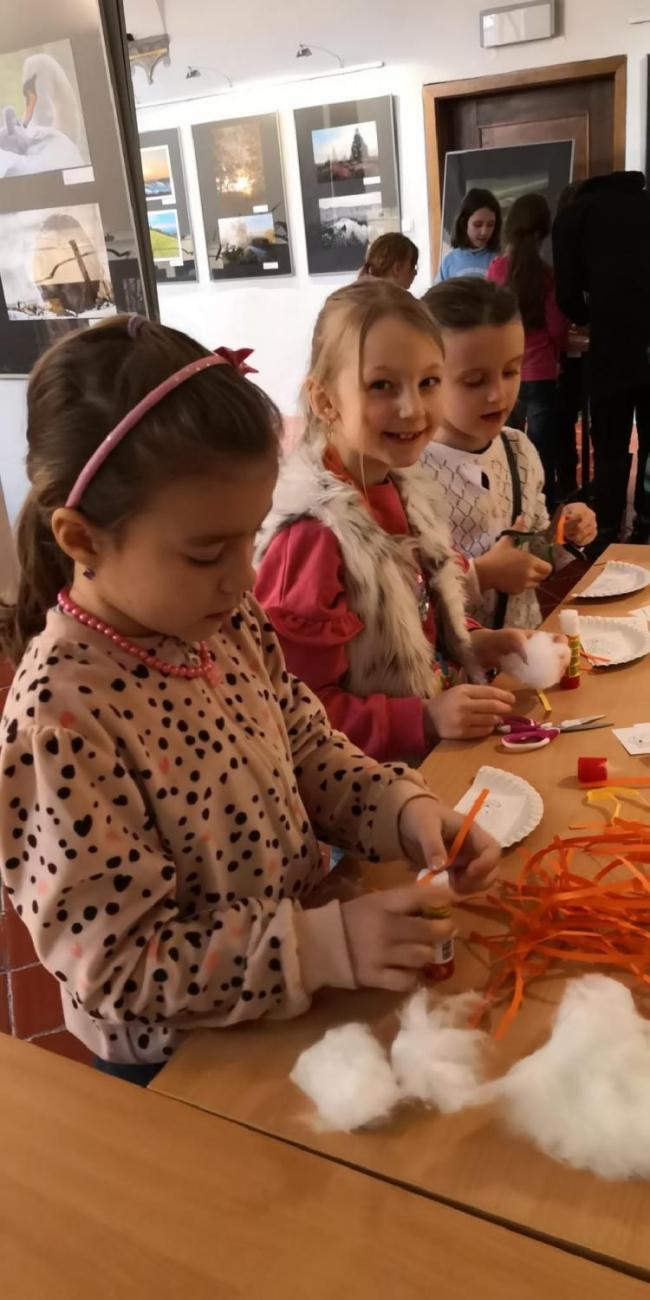 Muzeum Vysočiny - výukový program Les  1. ročník