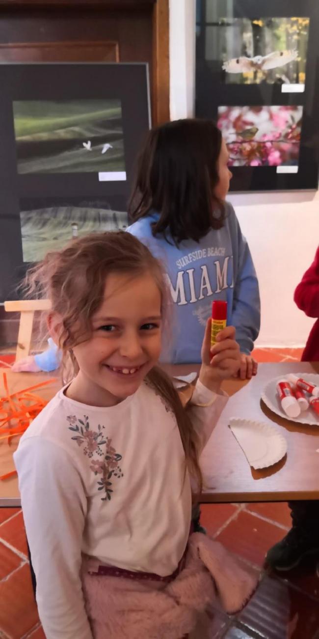 Muzeum Vysočiny - výukový program Les 1. ročník