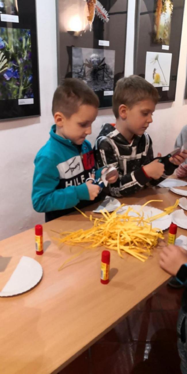 Muzeum Vysočiny - výukový program Les 1. ročník