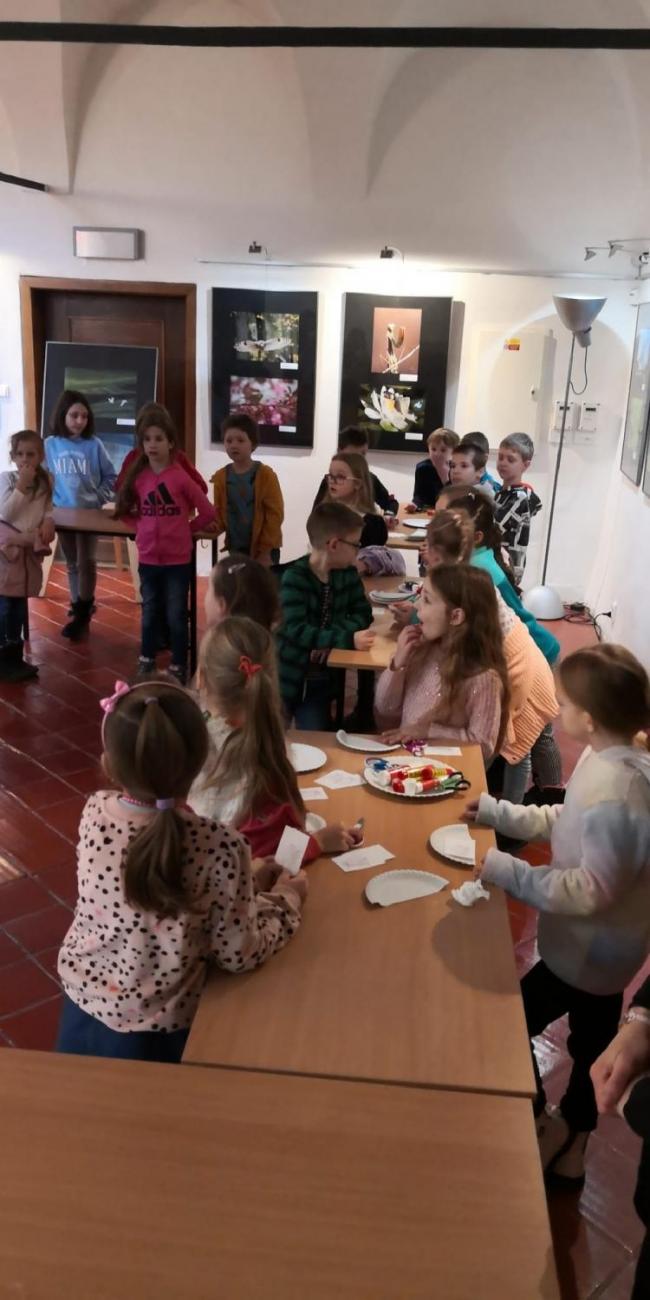 Muzeum Vysočiny - výukový program Les 1. ročník