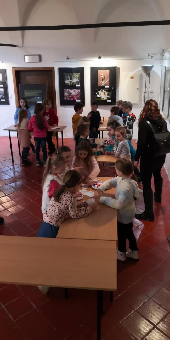 Muzeum Vysočiny - výukový program Les 1. ročník