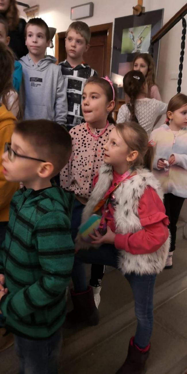 Muzeum Vysočiny - výukový program Les 1. ročník