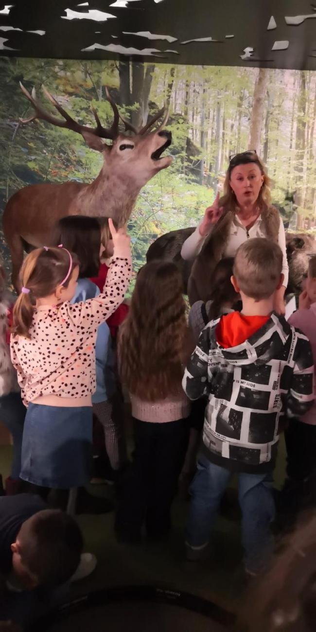 Muzeum Vysočiny - výukový program Les 1. ročník