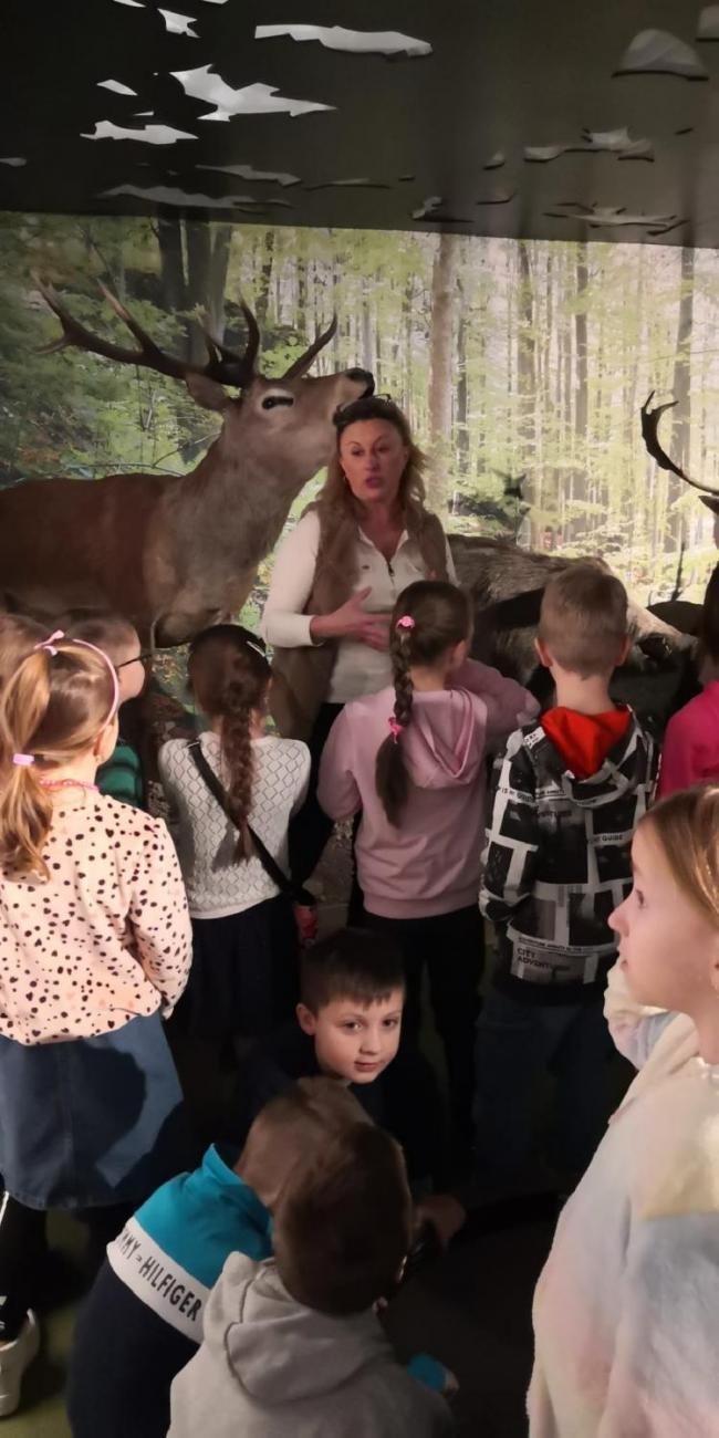 Muzeum Vysočiny - výukový program Les  1. ročník