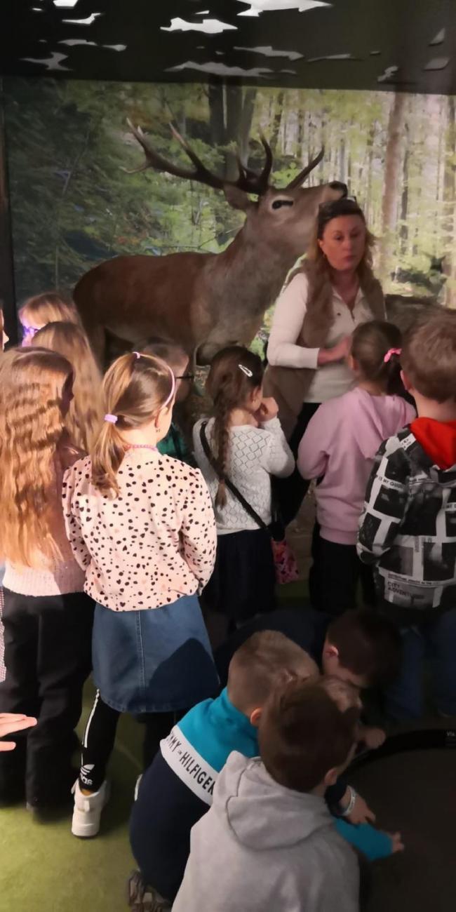 Muzeum Vysočiny - výukový program Les  1. ročník