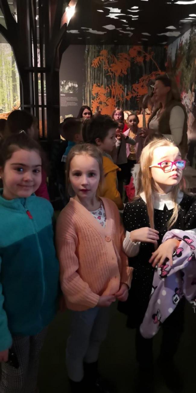 Muzeum Vysočiny - výukový program Les 1. ročník