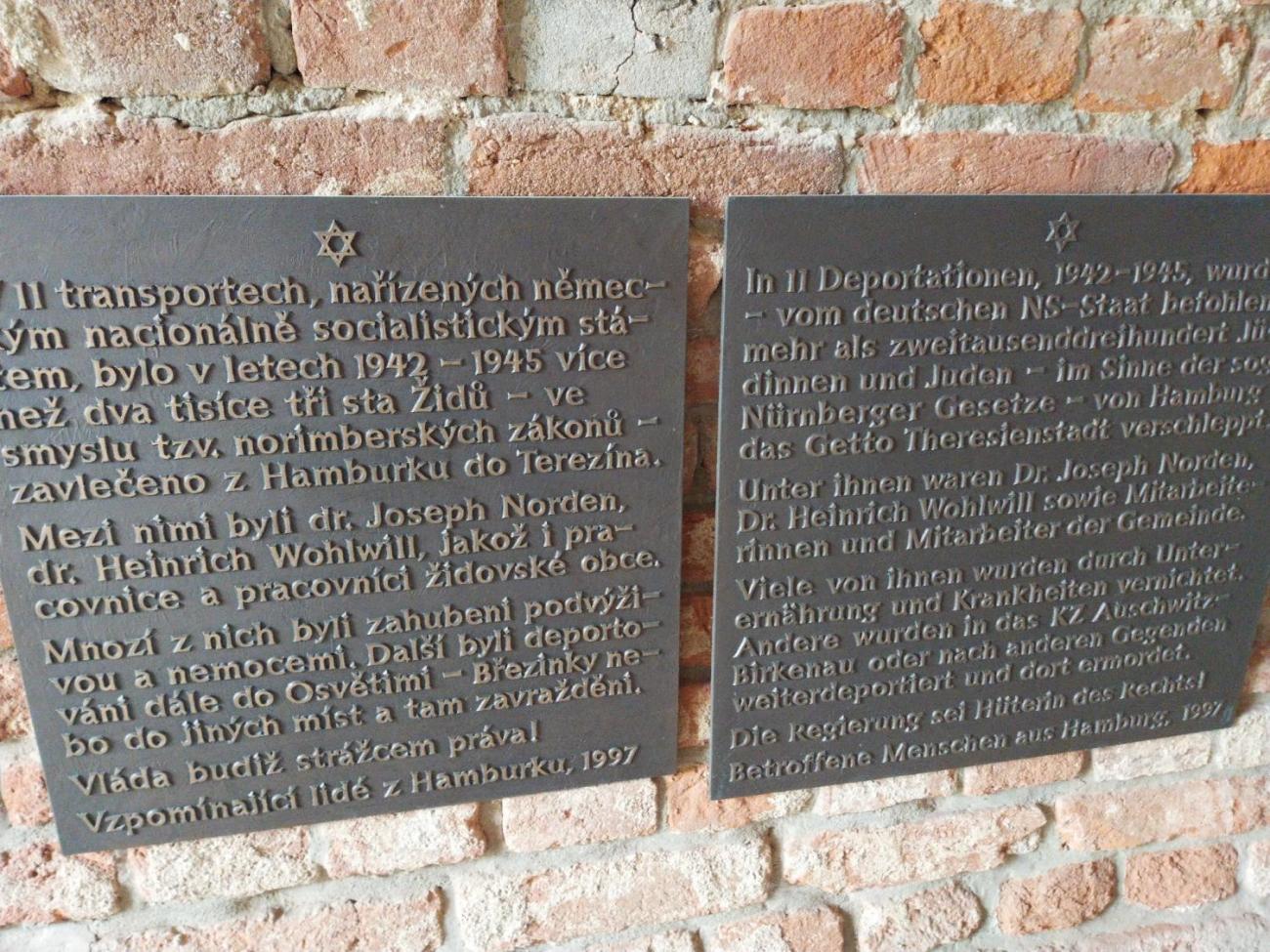 Terezín 9. ročník