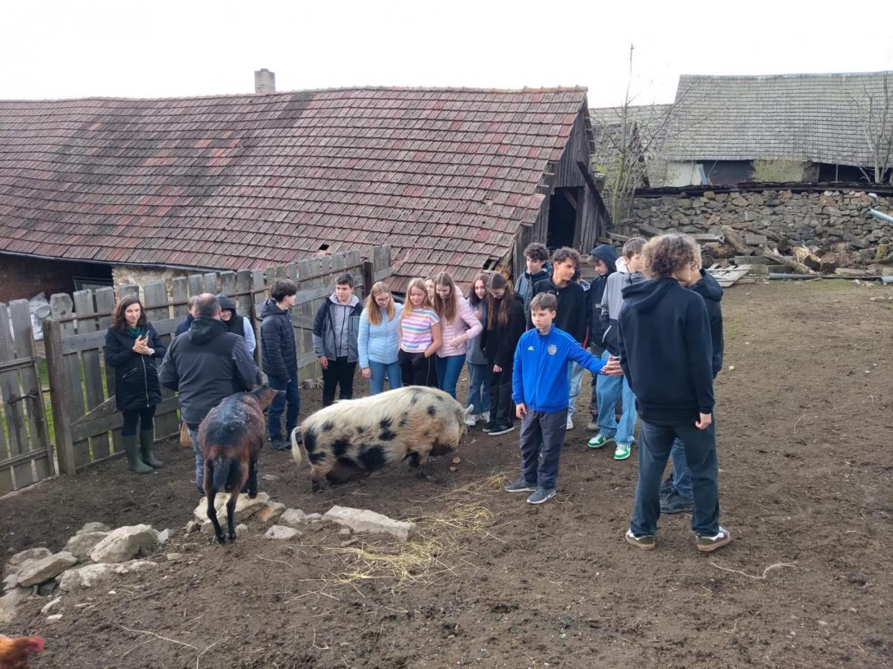 Cesta k sýru  9. ročník