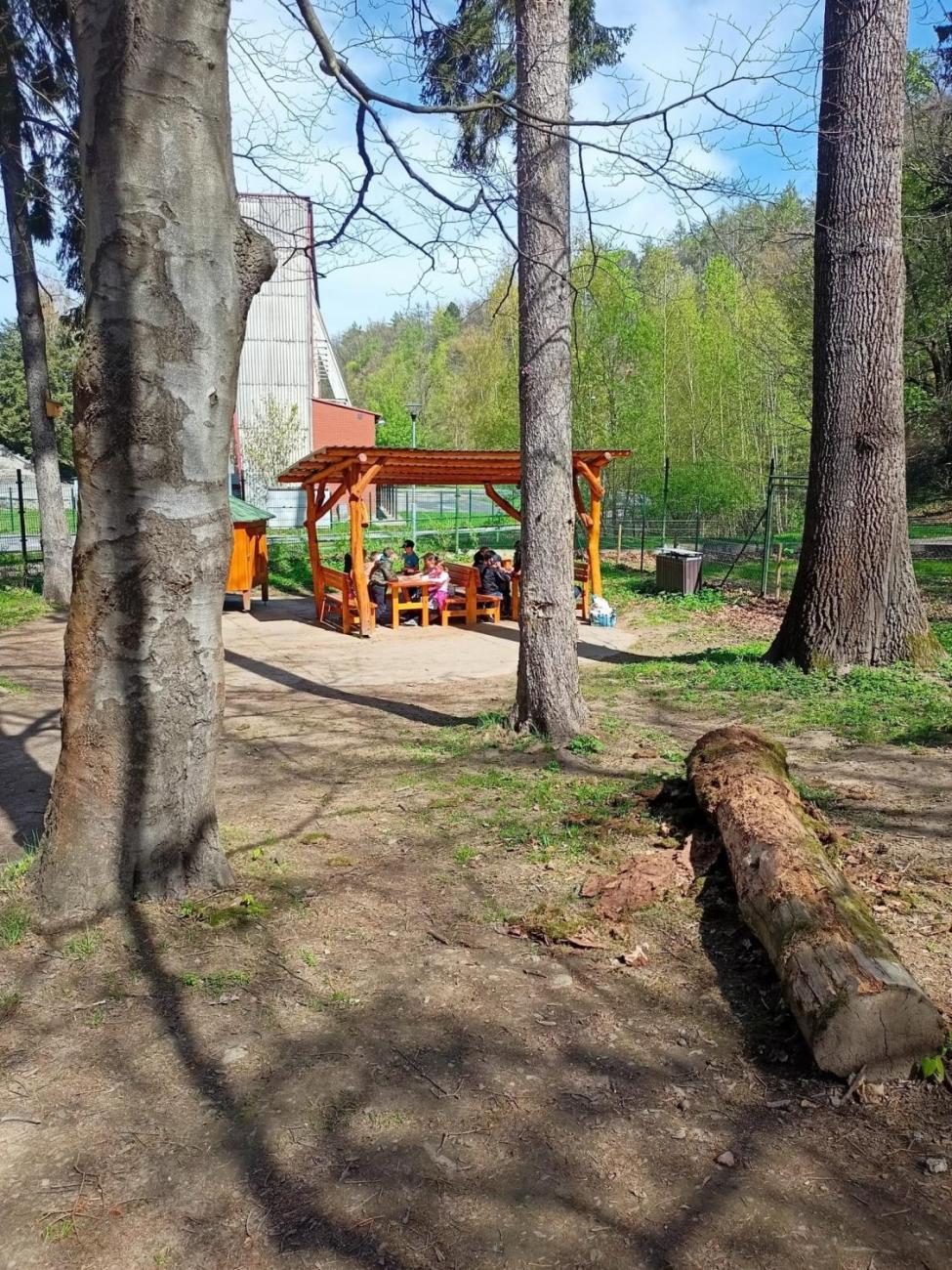 ZOO 2.A