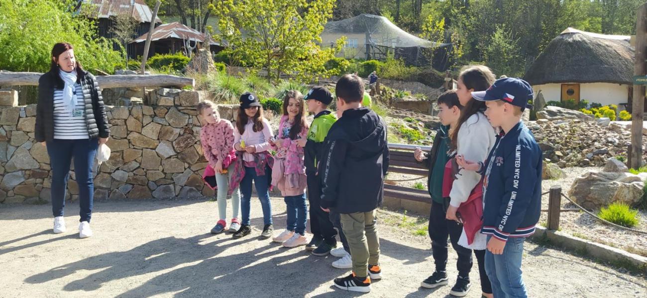 ZOO 2.A