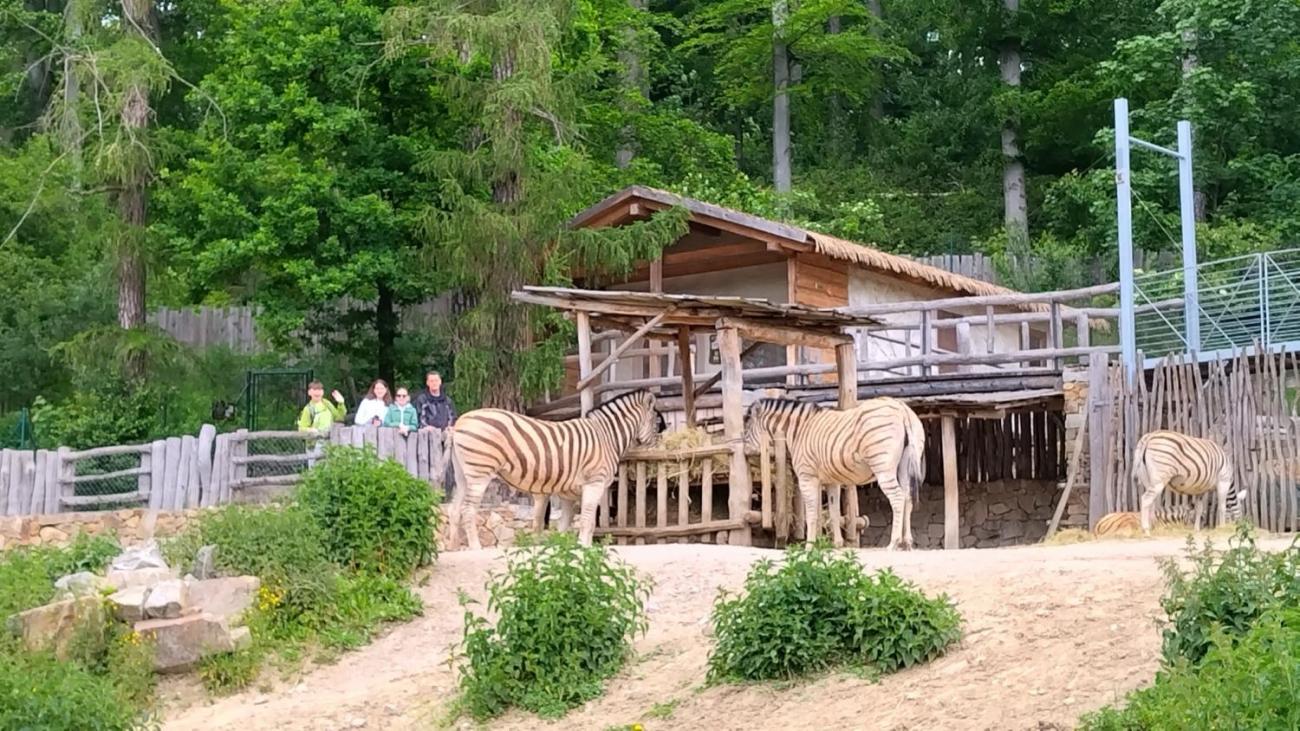 Návštěva ZOO Jihlava s klienty DTS 6.C