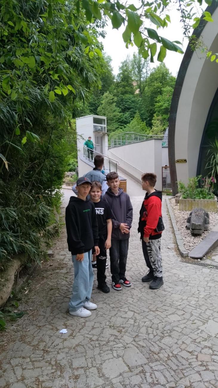 Návštěva ZOO Jihlava s klienty DTS 6.C