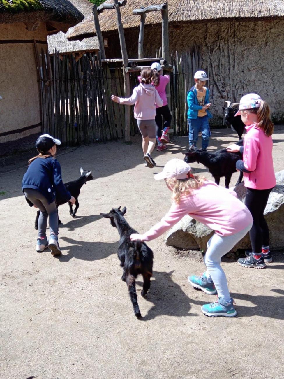 Návštěva ZOO - turistický den 2.B