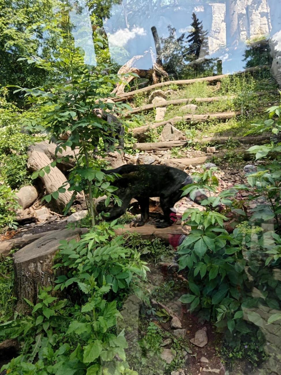 Návštěva ZOO - turistický den 2.B