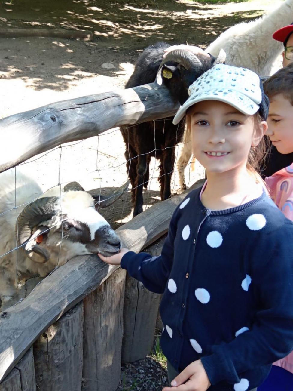 Návštěva ZOO - turistický den 2.B
