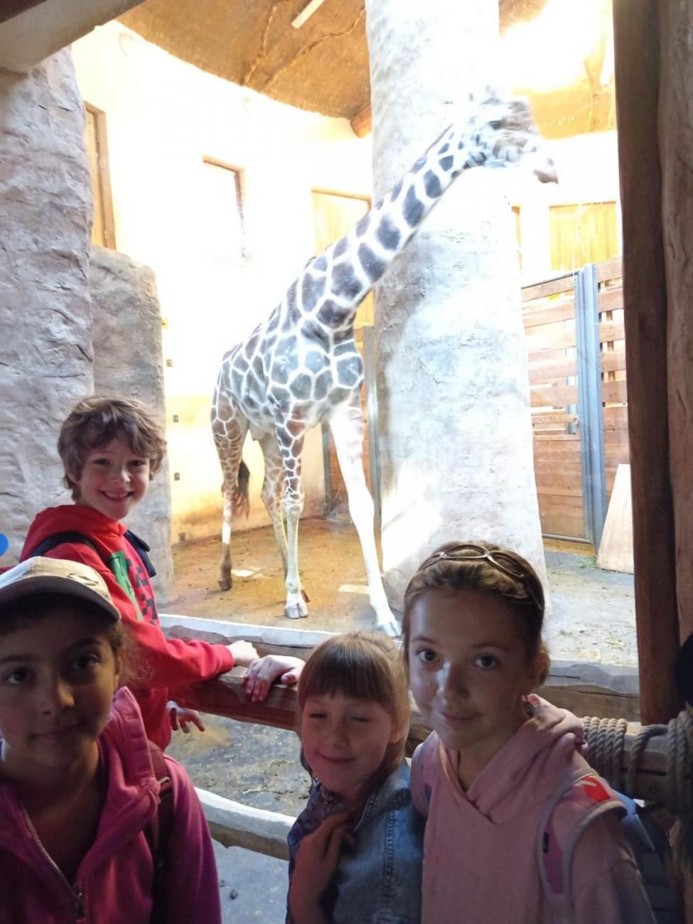Návštěva ZOO - turistický den 2.B
