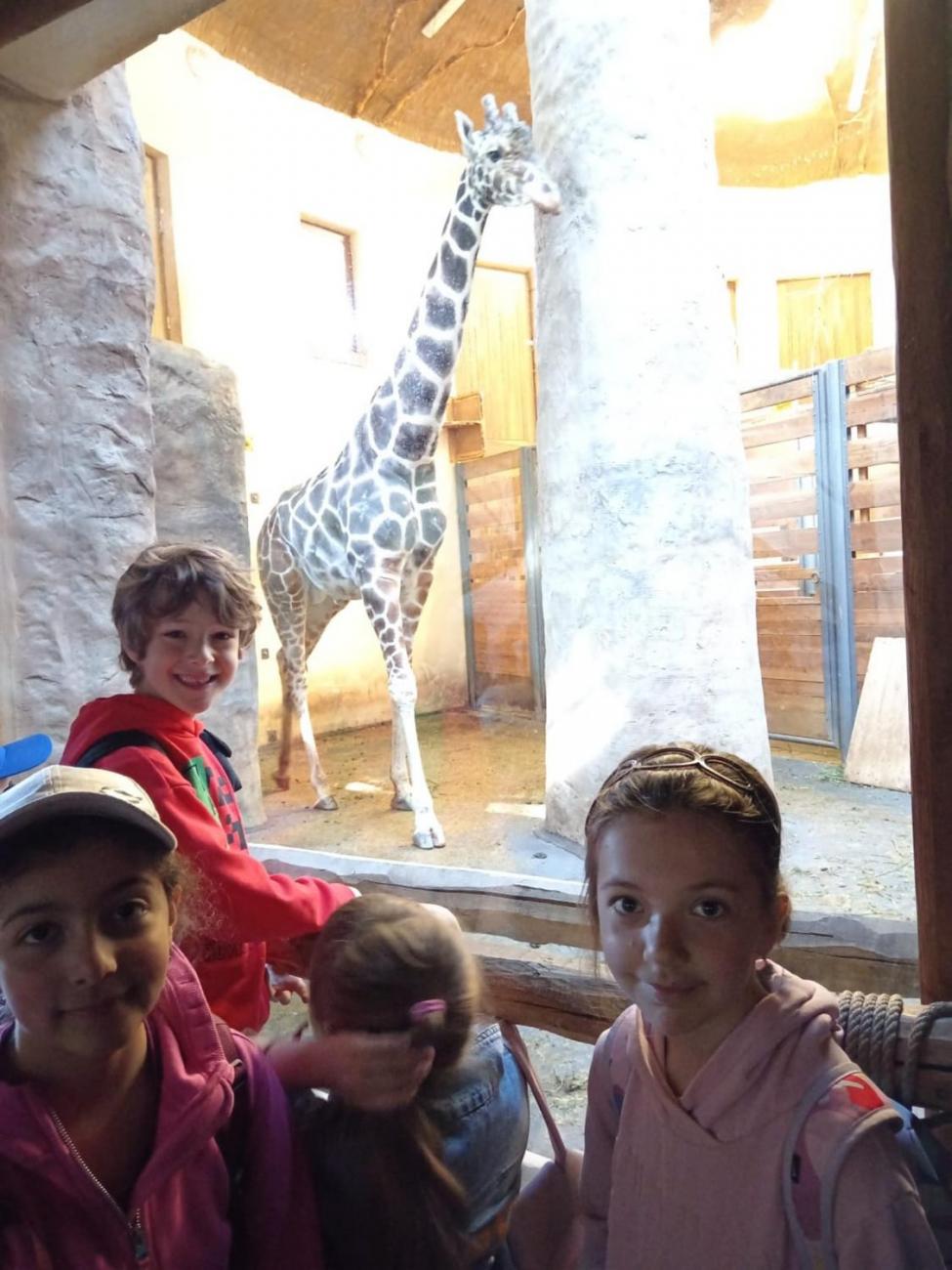 Návštěva ZOO - turistický den 2.B