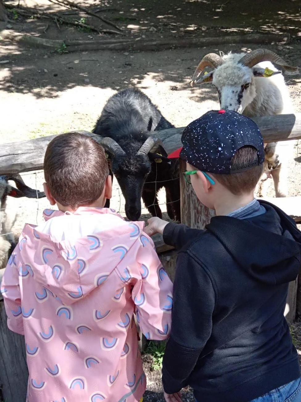 Návštěva ZOO - turistický den 2.B