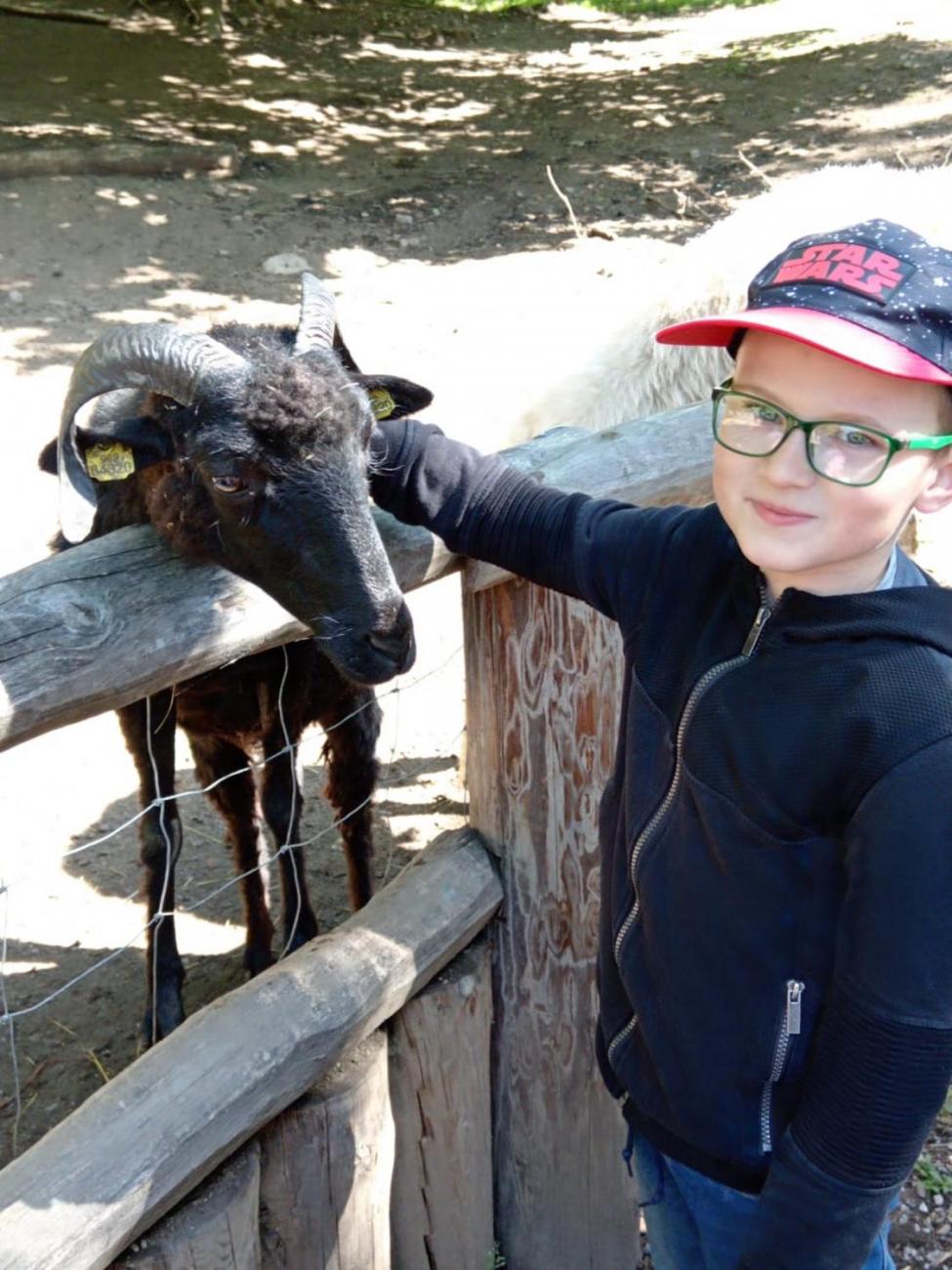 Návštěva ZOO - turistický den 2.B