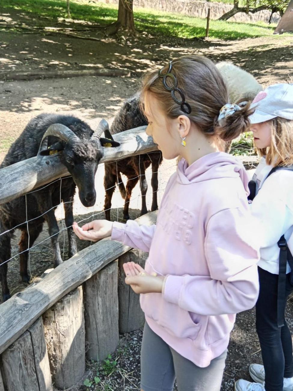 Návštěva ZOO - turistický den 2.B