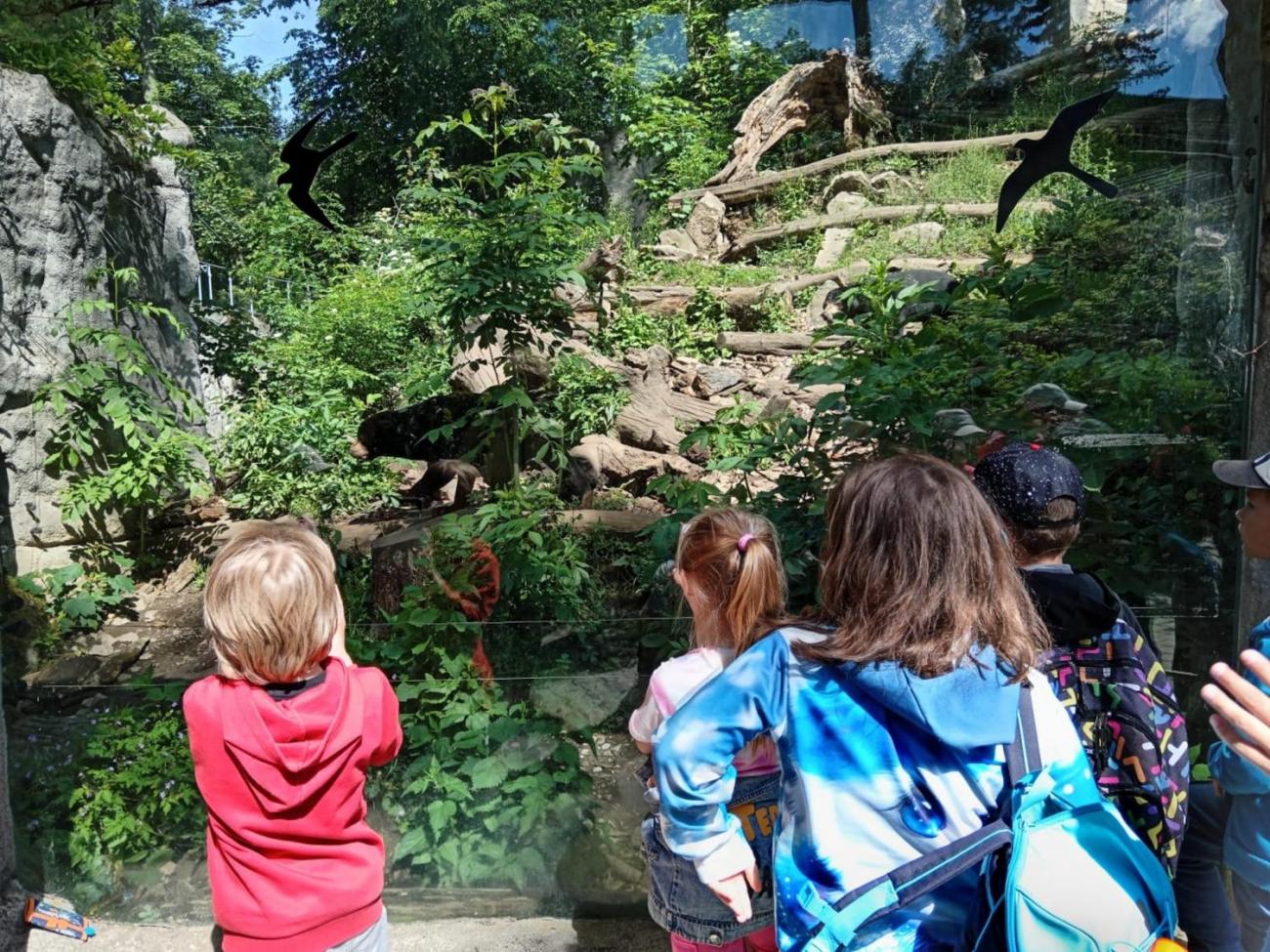 Návštěva ZOO - turistický den 2.B