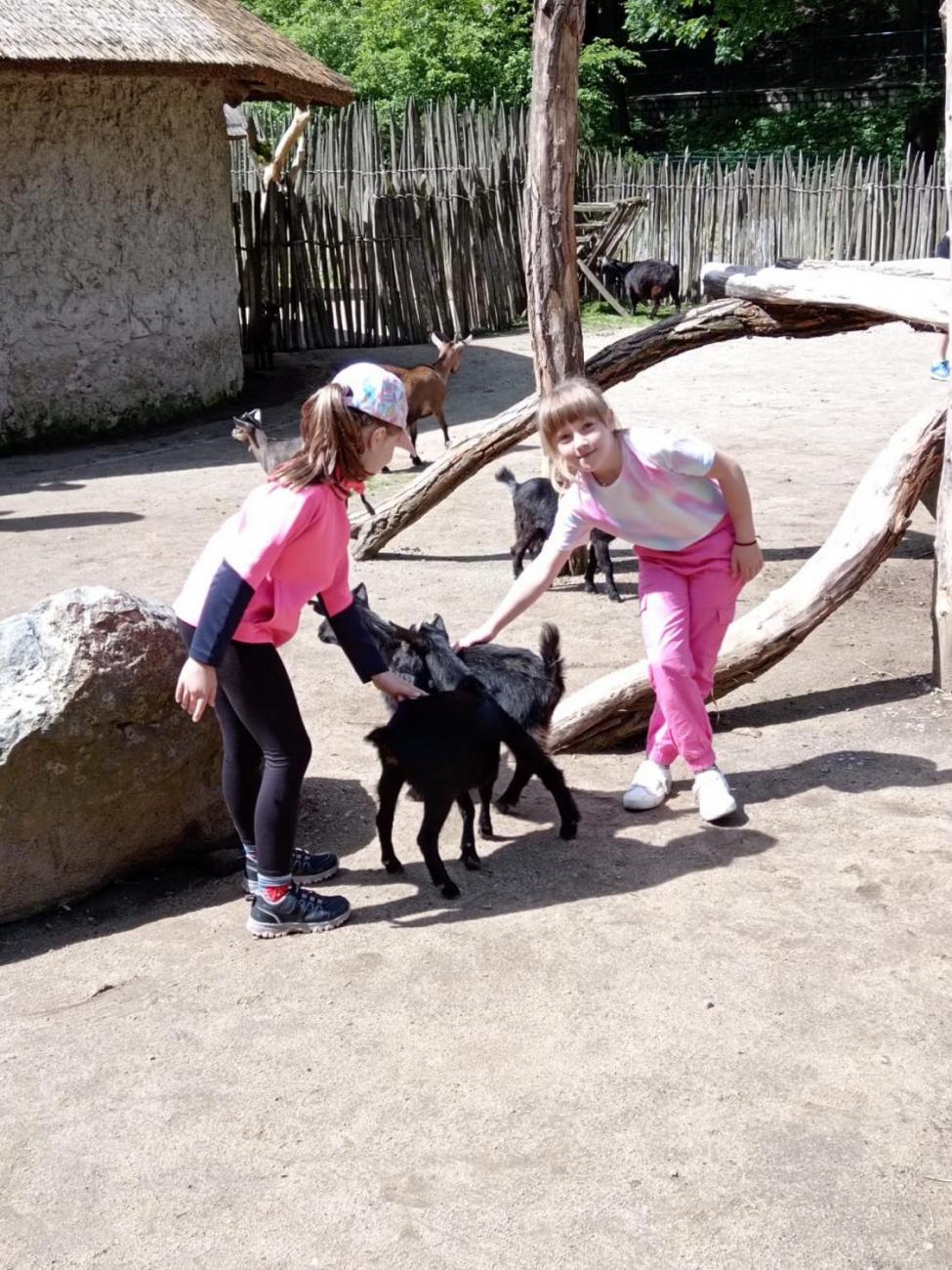 Návštěva ZOO - turistický den 2.B
