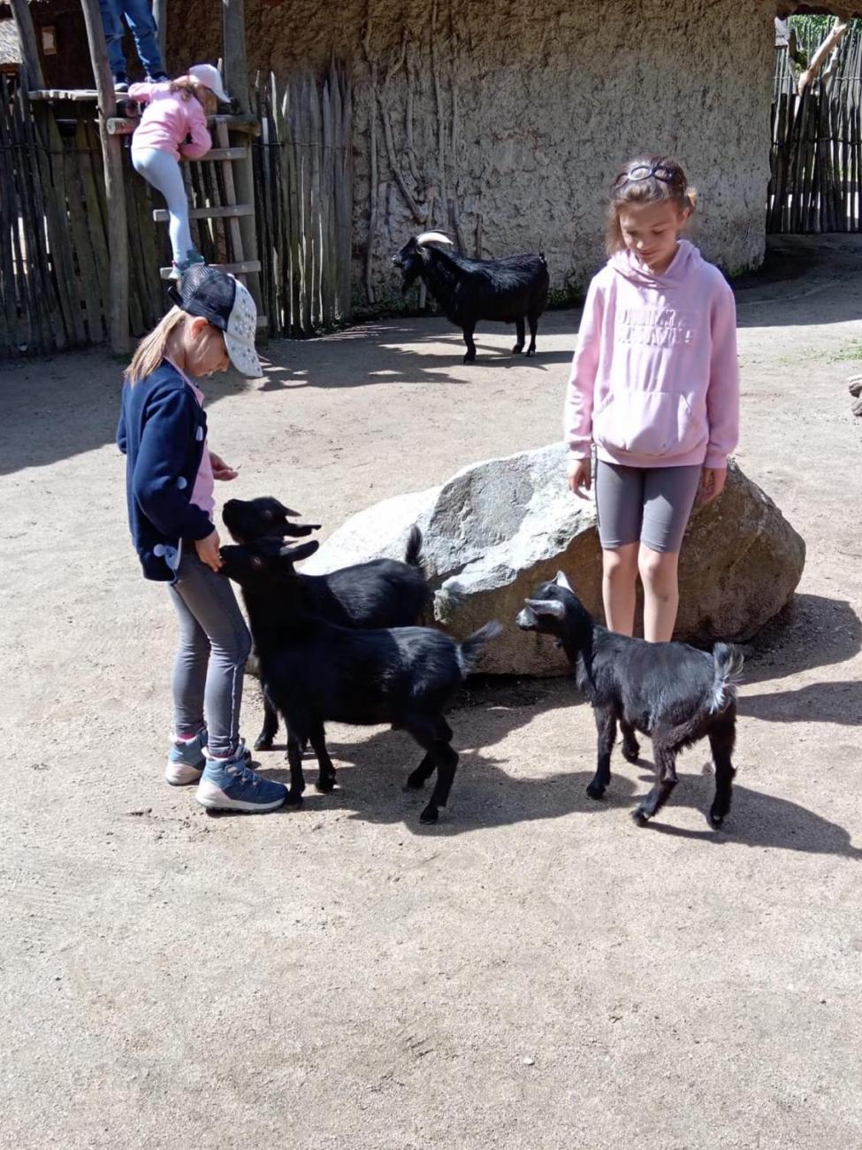 Návštěva ZOO - turistický den 2.B