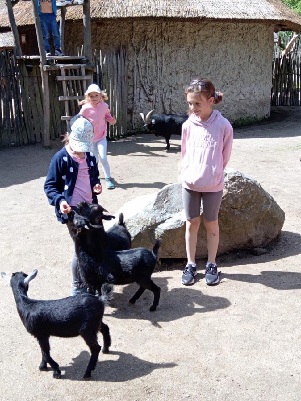 Návštěva ZOO - turistický den 2.B
