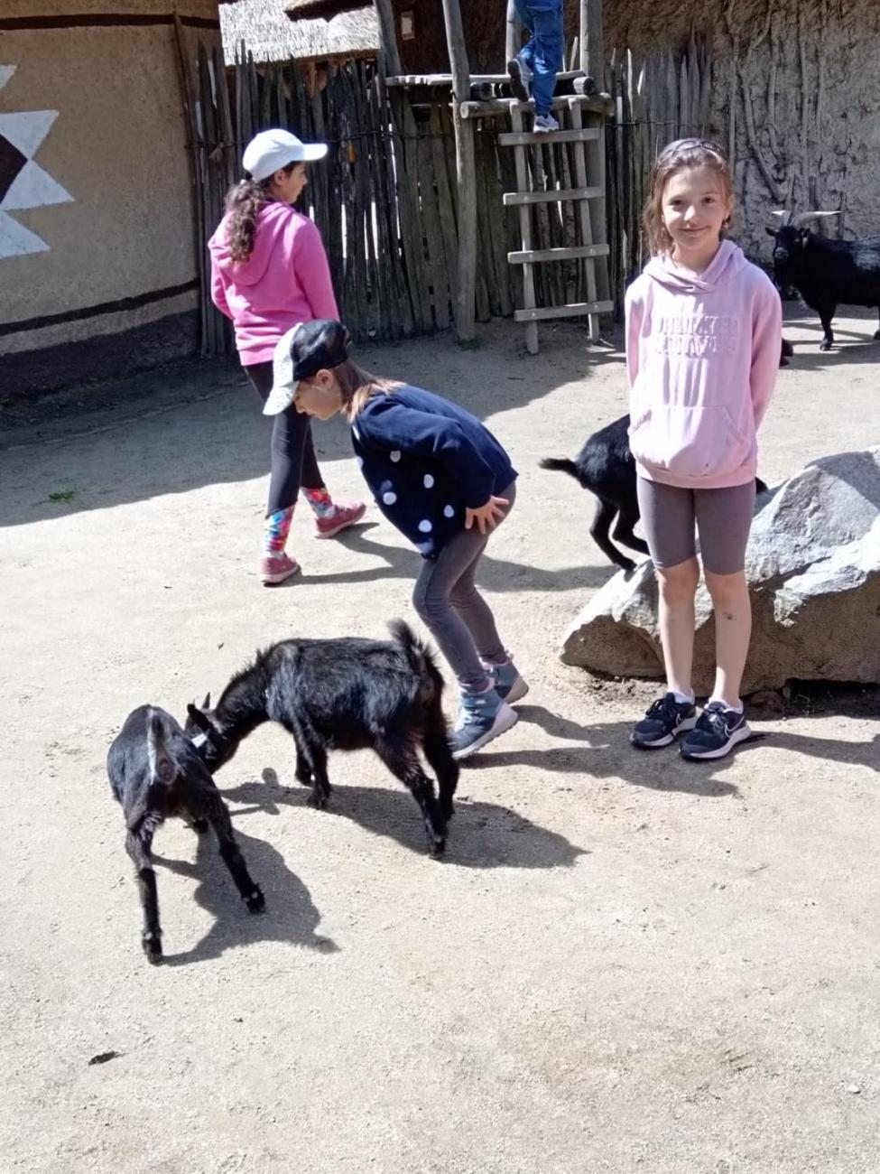 Návštěva ZOO - turistický den 2.B