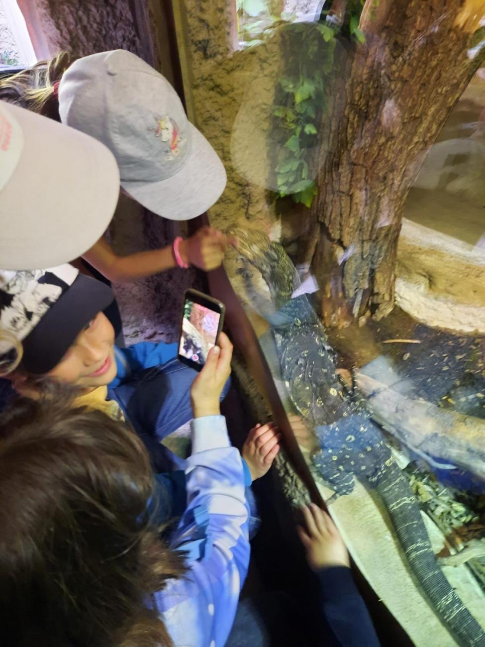 Návštěva ZOO - turistický den 2.B