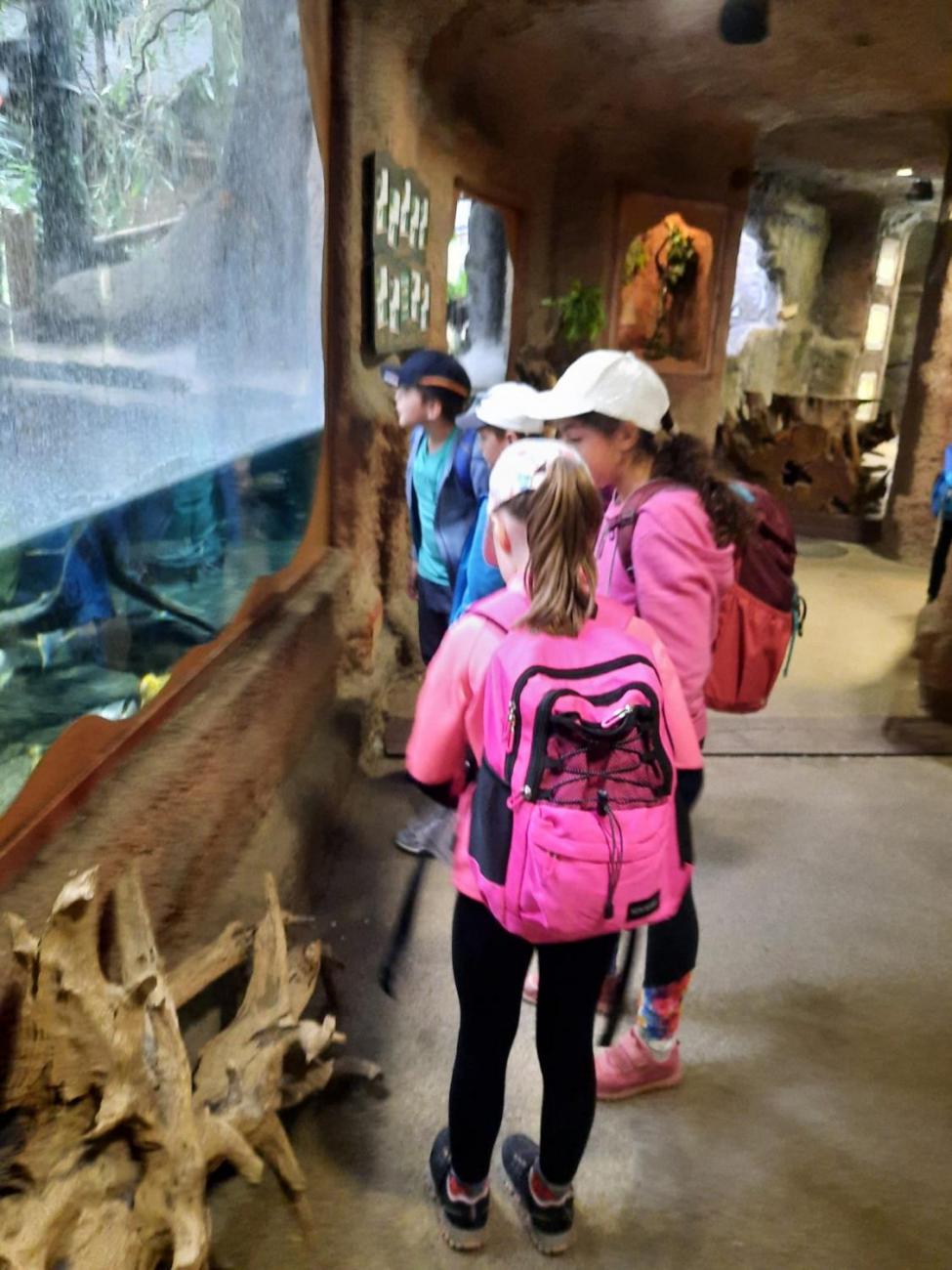 Návštěva ZOO - turistický den 2.B