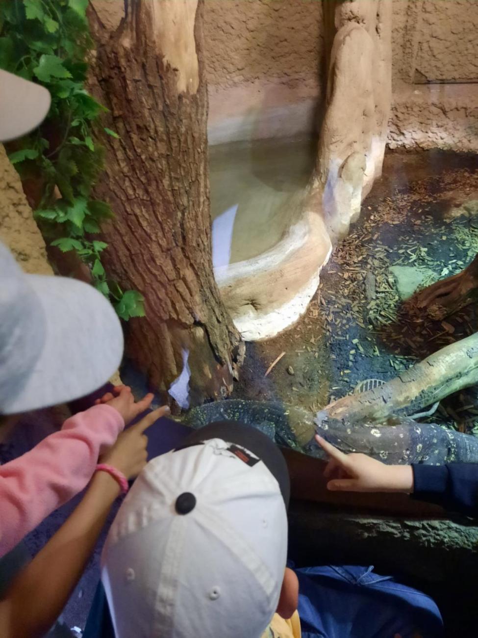 Návštěva ZOO - turistický den 2.B