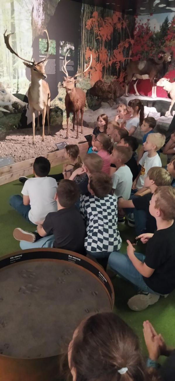 Dnes je na programu les 2.A