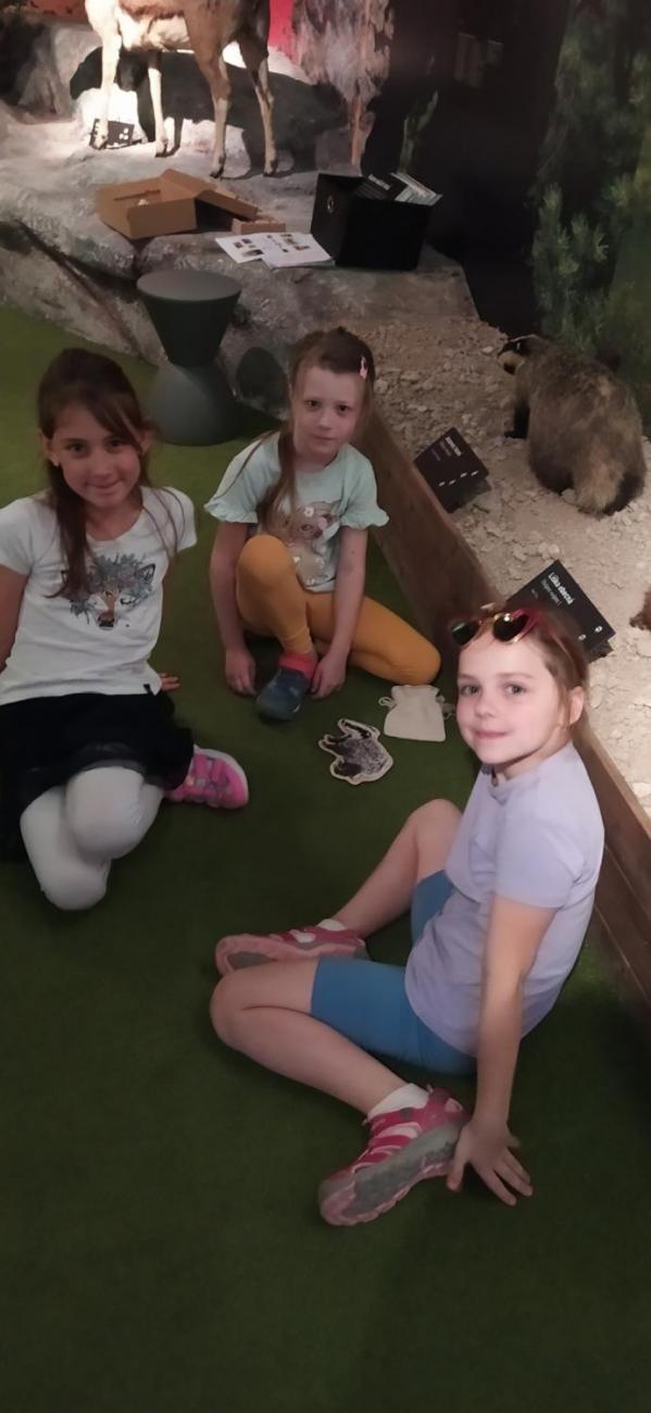 Dnes je na programu les 2.A