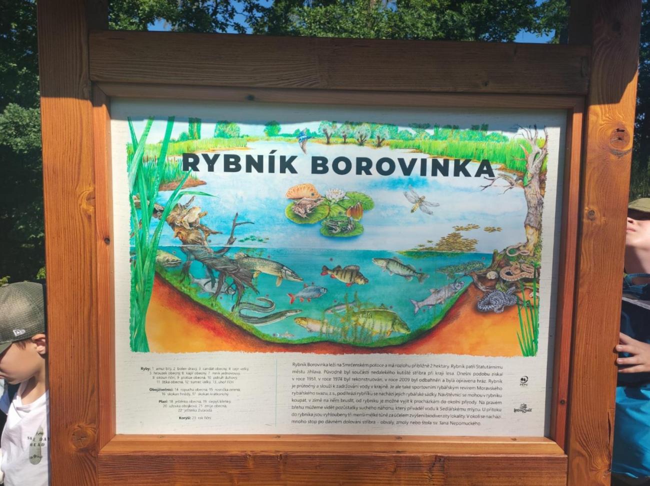 Borovinka 4.A