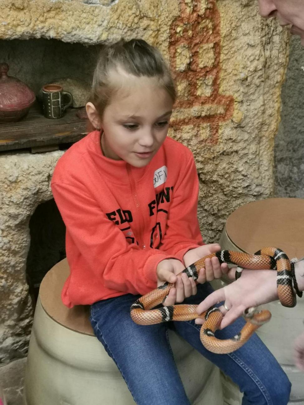 ZOO - Mazlíčci  2.C