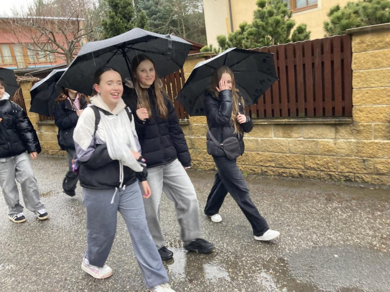 Svět práce - Útulek pro opuštěná a nalezená zvířata 7.A