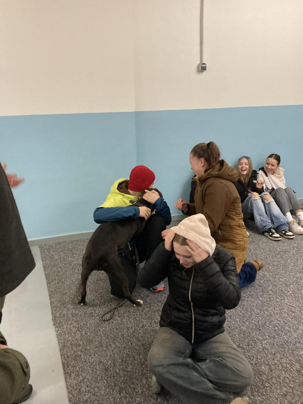 Svět práce - Útulek pro opuštěná a nalezená zvířata 7.A