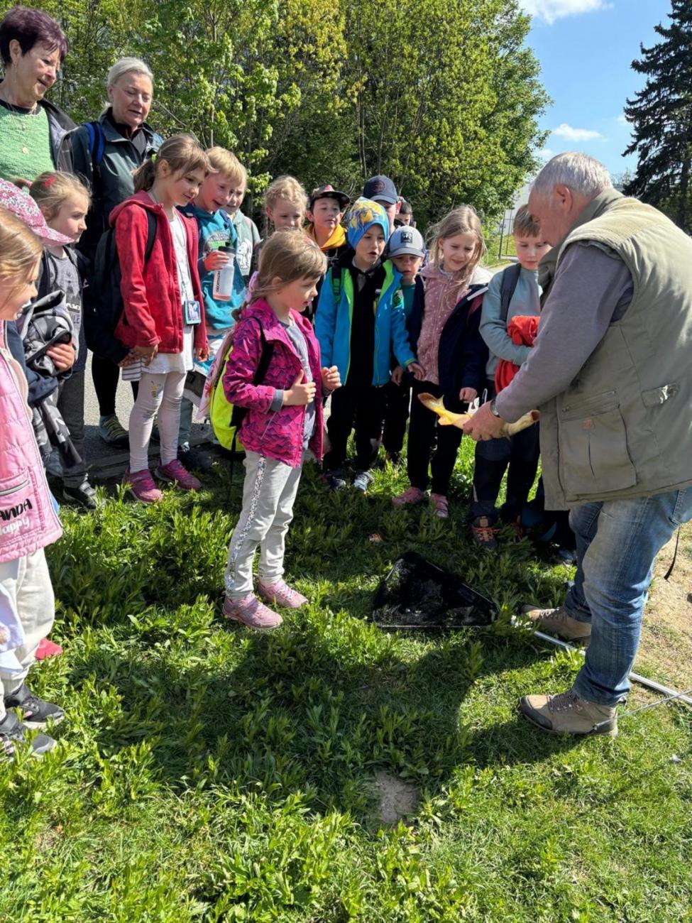 Jarní turistický den – výlet k rybníku Borovinka 1.B