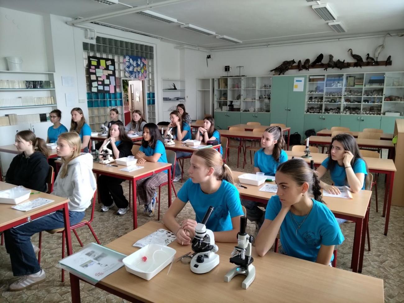 Waterproject - Výměnný pobyt s Holanďany